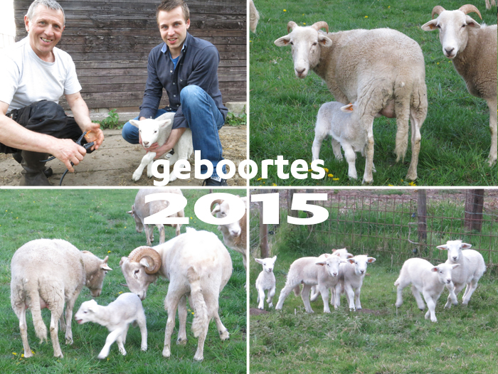 geboortes 't hulshof 2015